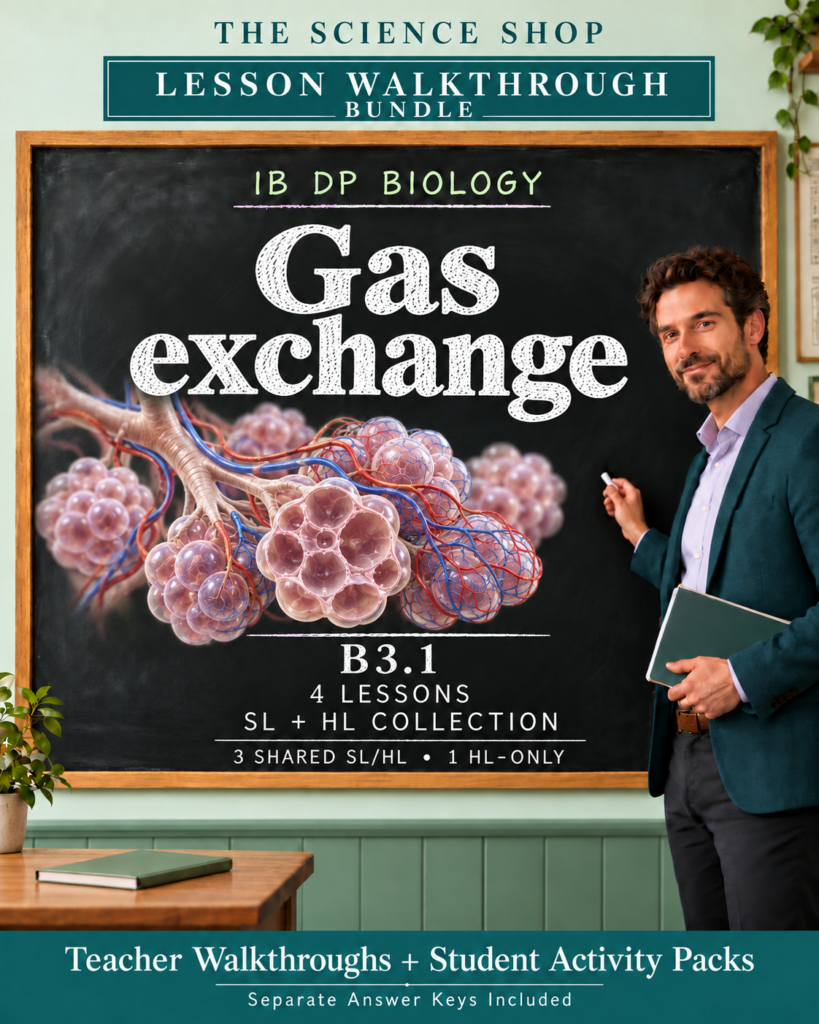 IB DP Biology | B3.1 Gas exchange | Lesson Walkthrough Bundle cover