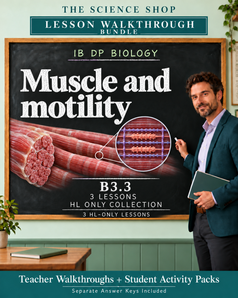 IB DP Biology | B3.3 Muscle and motility | Lesson Walkthrough Bundle cover
